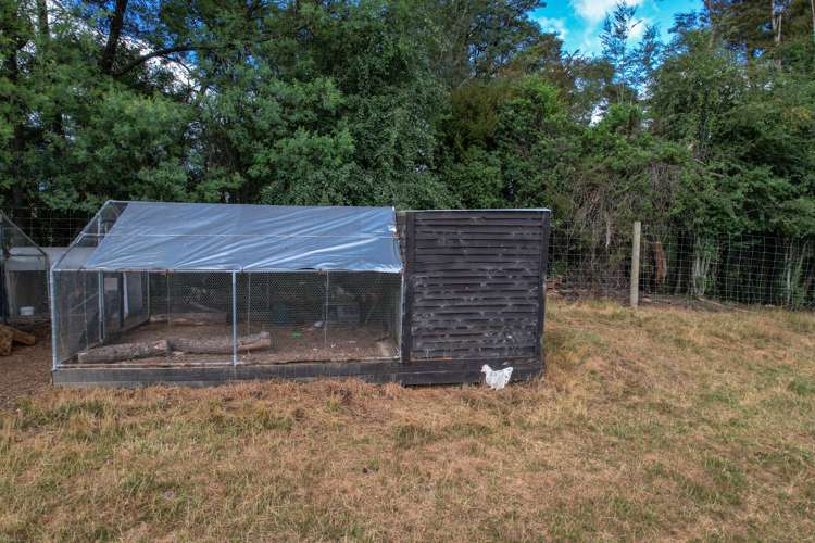 281 Tadmor-Bushend Road Tapawera_19