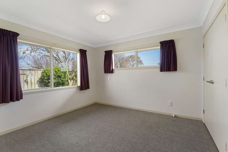 24B Reeve Street Levin_7