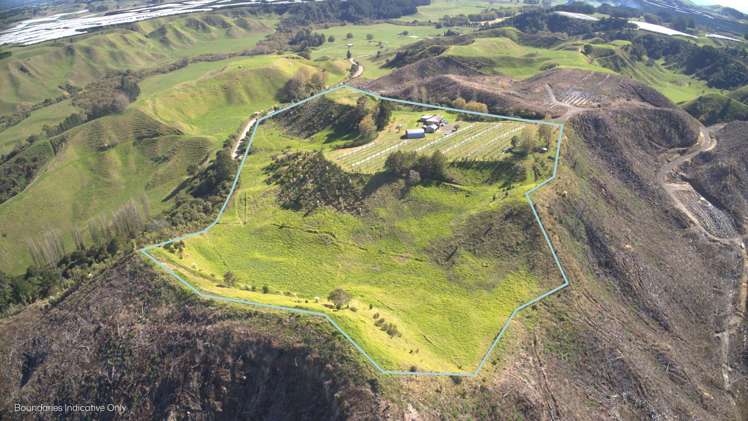 307 Campbell Road Pukehina_3