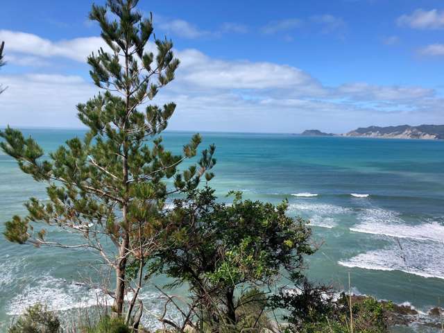 76 Waima Road Tokomaru Bay_1