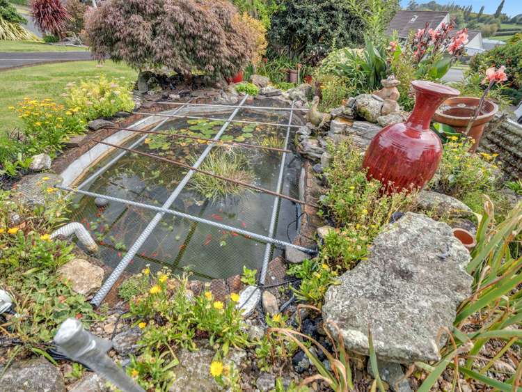 227 Greenhill Drive Te Awamutu_9