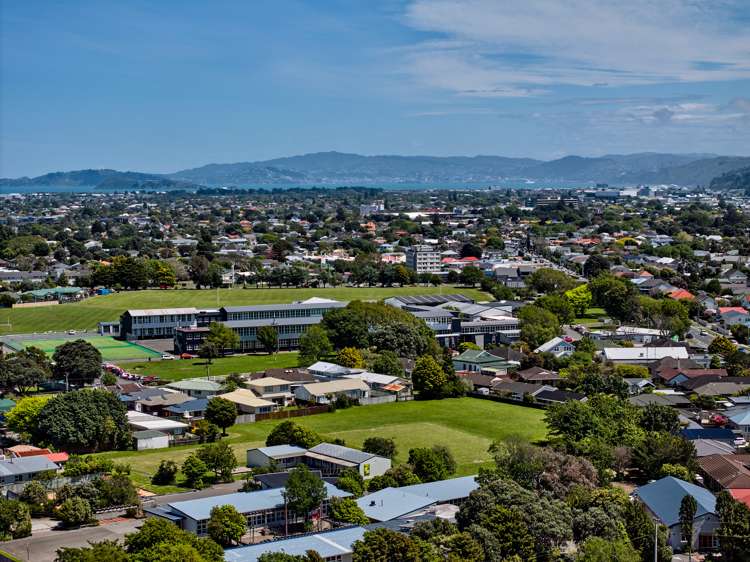 16a Cottle Street Avalon_12