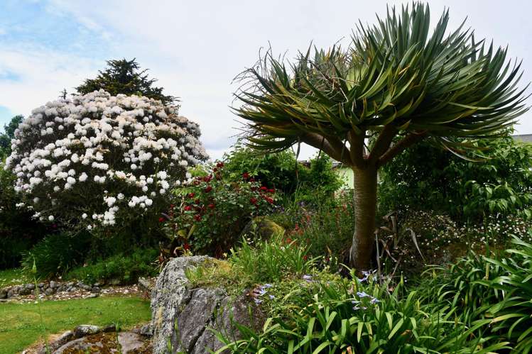 4 Arapito Road Karamea_23