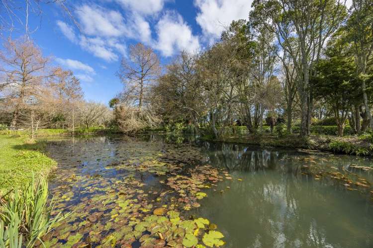 35C Wallace Drive Clarks Beach_7