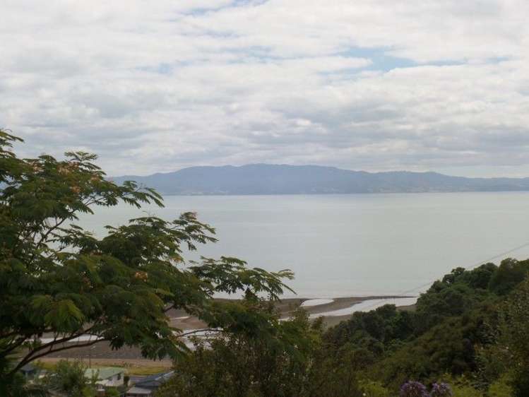 15 Eames Crescent Te Mata_16