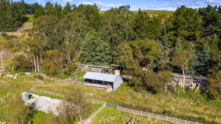 254 Wilder Road Porangahau_16