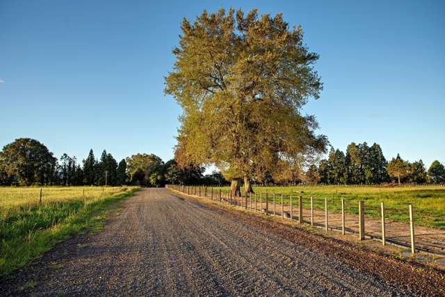 Prime land - Lot 2 - Otakiri Road