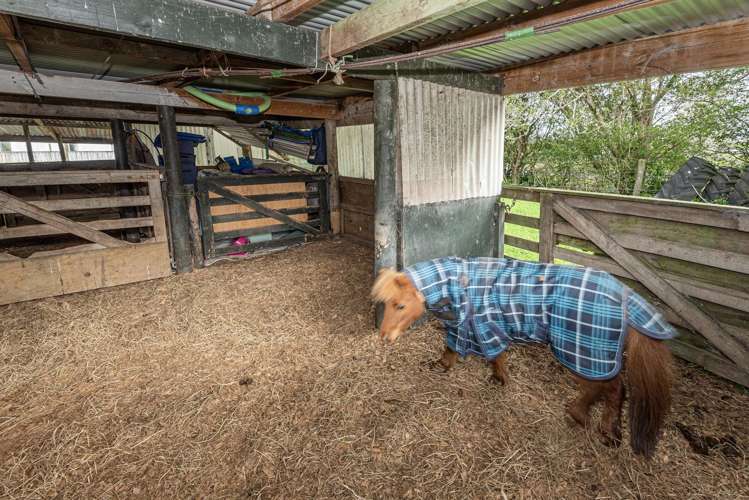 386 Otaika Valley Road Otaika_21