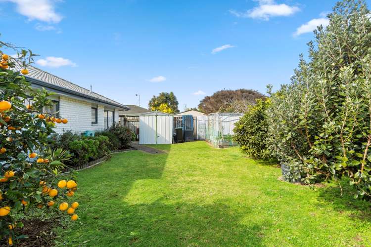 170 Gloucester Road Mount Maunganui_17