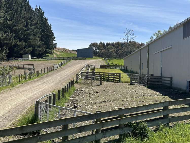 279 Cameron Road Waipahi_17