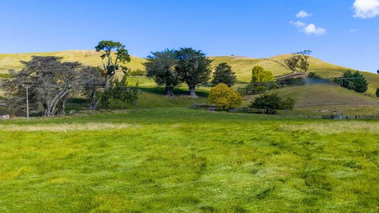 Lot 2, 127 Ongaonga Road Waipawa_9