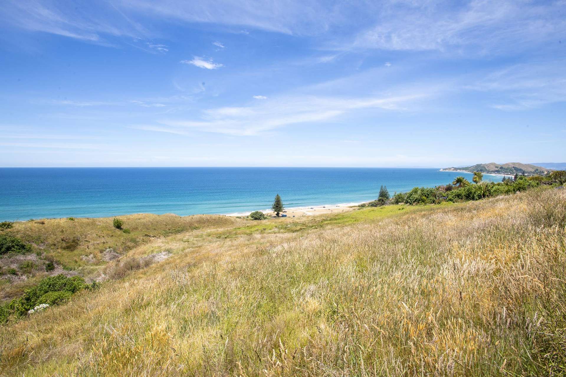 91 Winifred Street Okitu_0