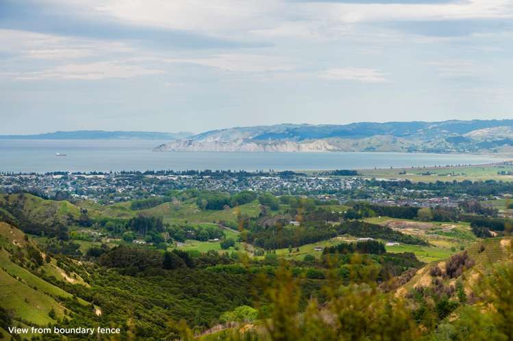 562 Waimata Valley Road Waimata_19