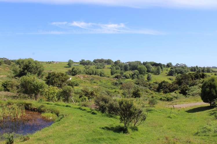 852 Oneriri Road Kaiwaka_108