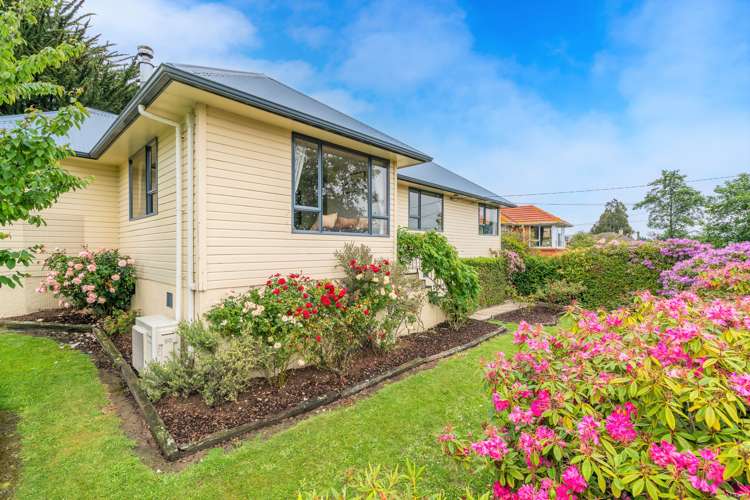 37 Burgess Street Green Island_18