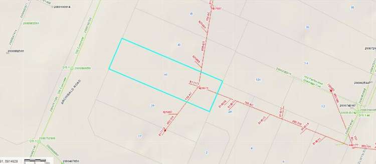 41 Archibald Road Kelston_19