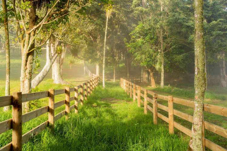 Lots 1-22 Kukupa Rise Ngararatunua_12