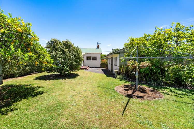 95 Avondale Road Greenmeadows_15