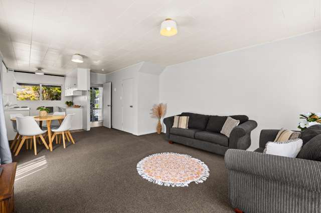 163A Guppy Road Taradale_4