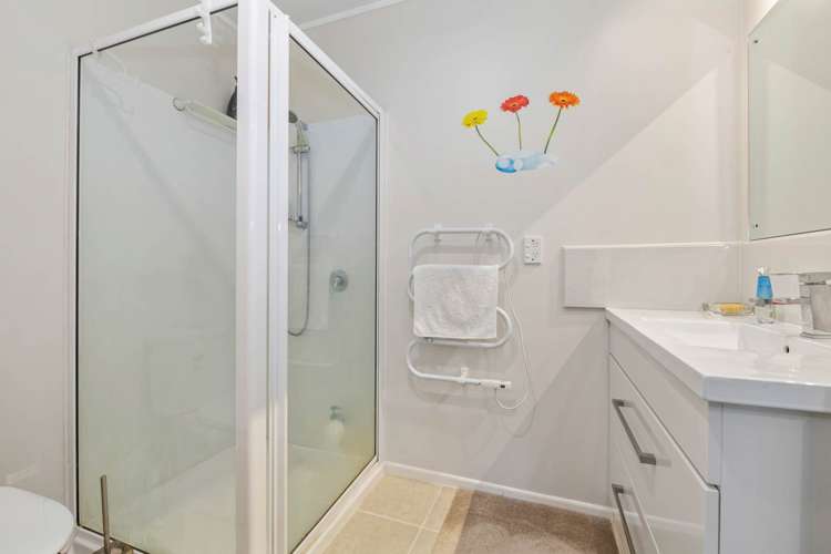 443 Pine Valley Road Dairy Flat_11