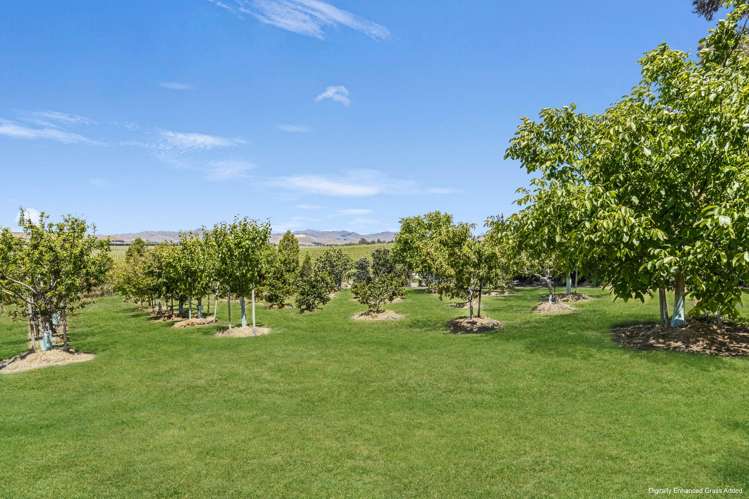 1764 Redwood Pass Road Blenheim_29