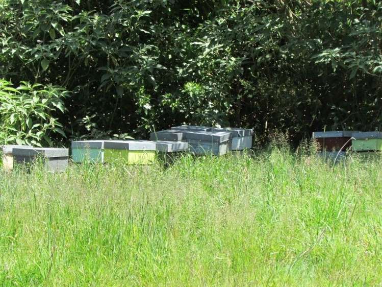 124 Victoria Street Whakatete Bay_21