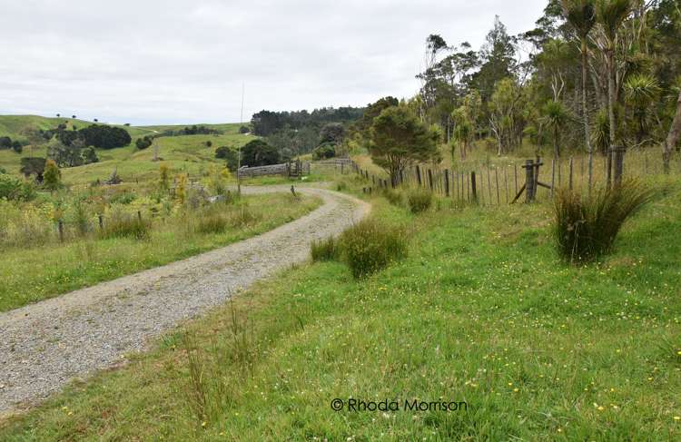 10 Te Pahi River Drive Paparoa_32