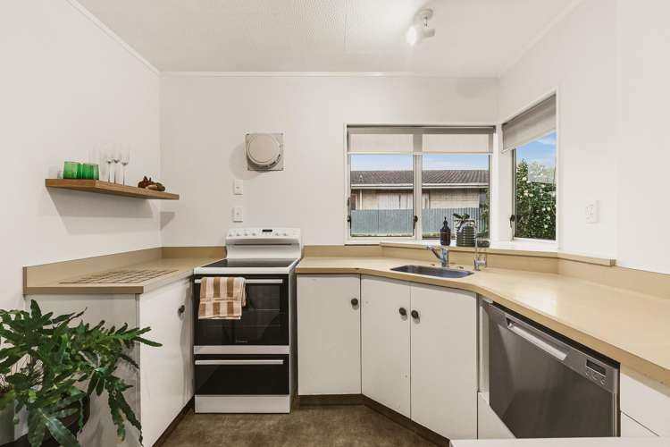 3/805 Heretaunga Street East Parkvale_3