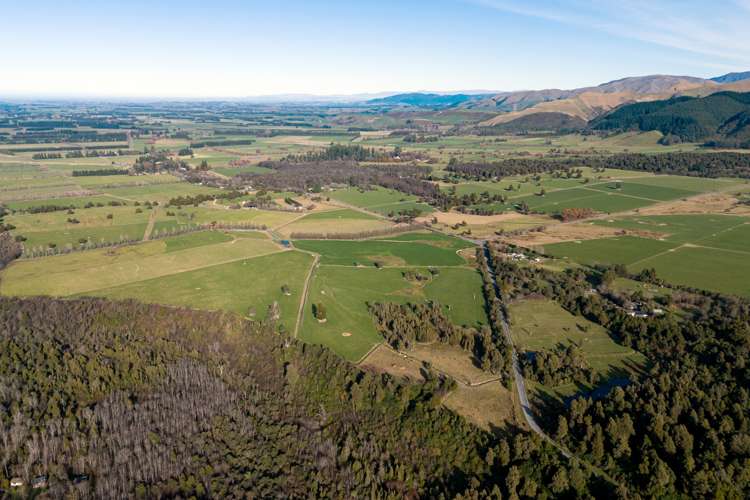 Rangitata Gorge Road Peel Forest_16