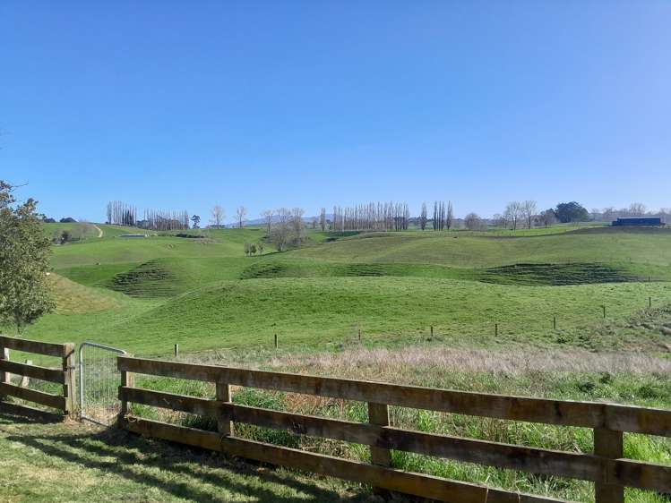 60 Reservoir Street Putaruru_23