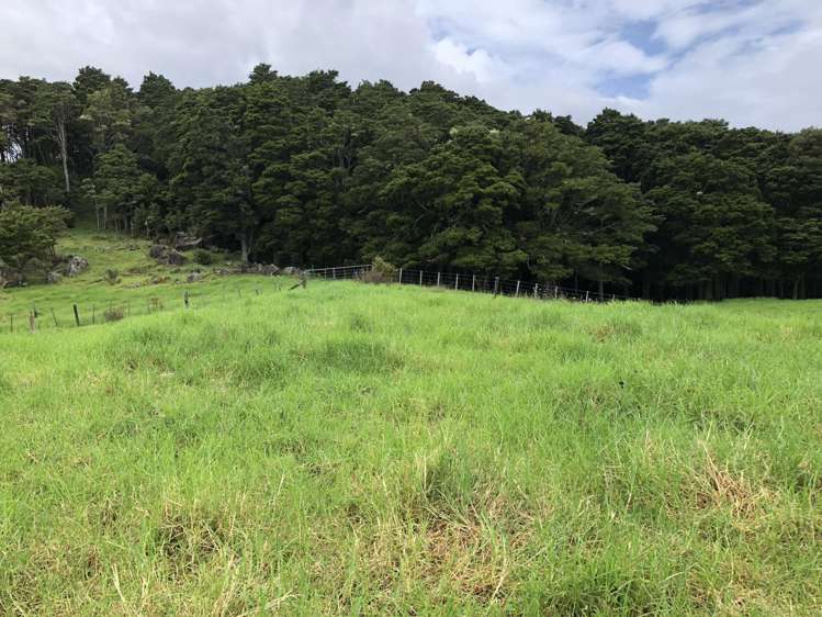 145 Bint Road Maungakaramea_8