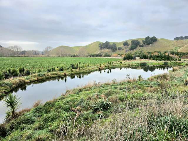 Dam, that's an impressive looking pond.