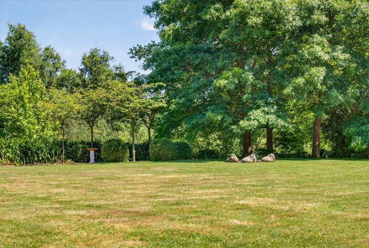 21 Endsleigh Drive Havelock North_22
