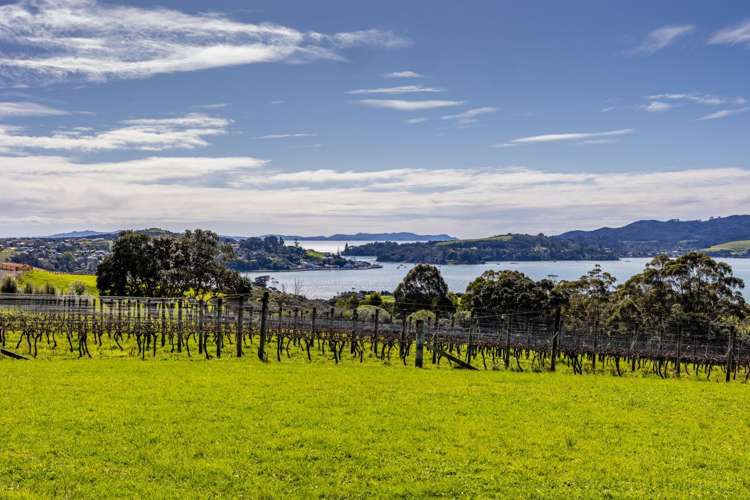 2958 State Highway 10 Paewhenua Island_5