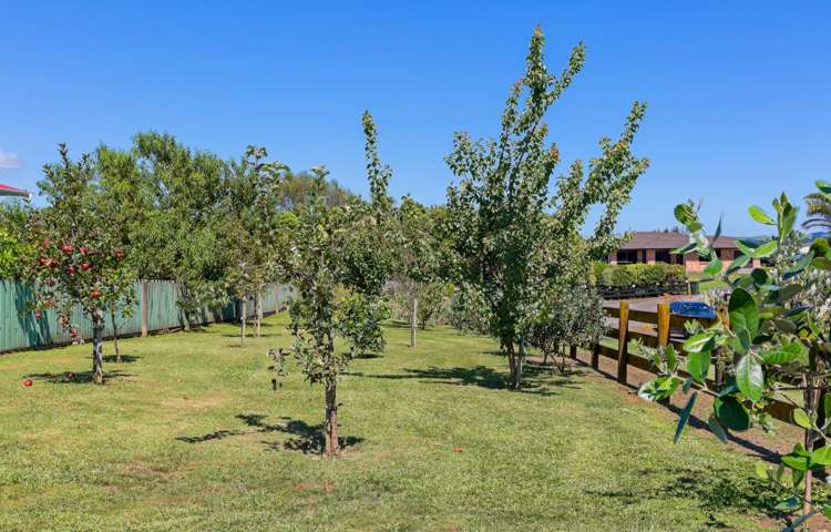 10a Pacific Street Waiuku_24