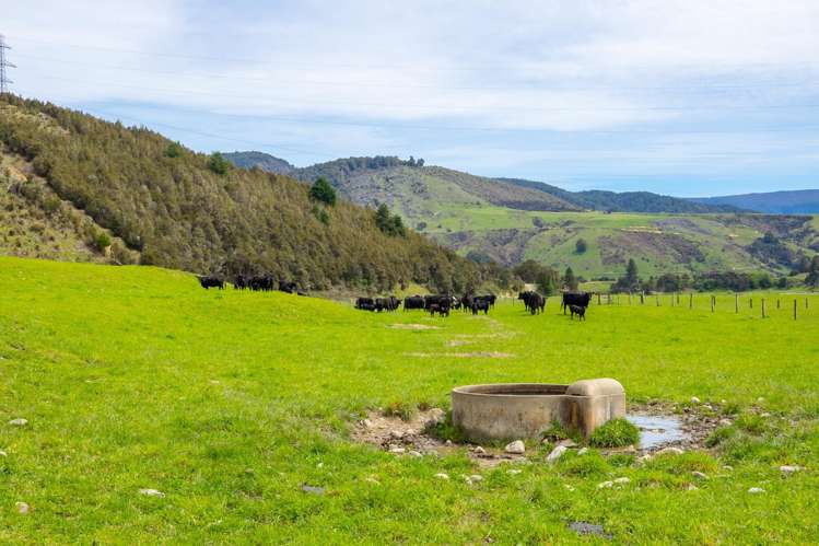 115 Howard Valley Road St Arnaud_43