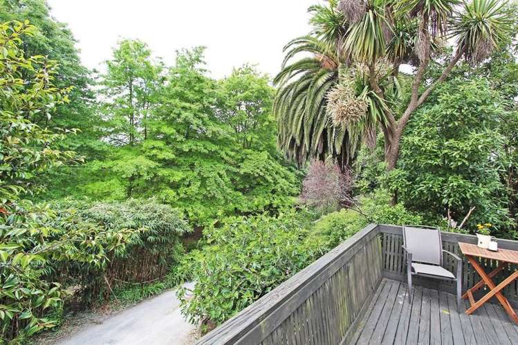 3 Tui Way Toi Toi_11