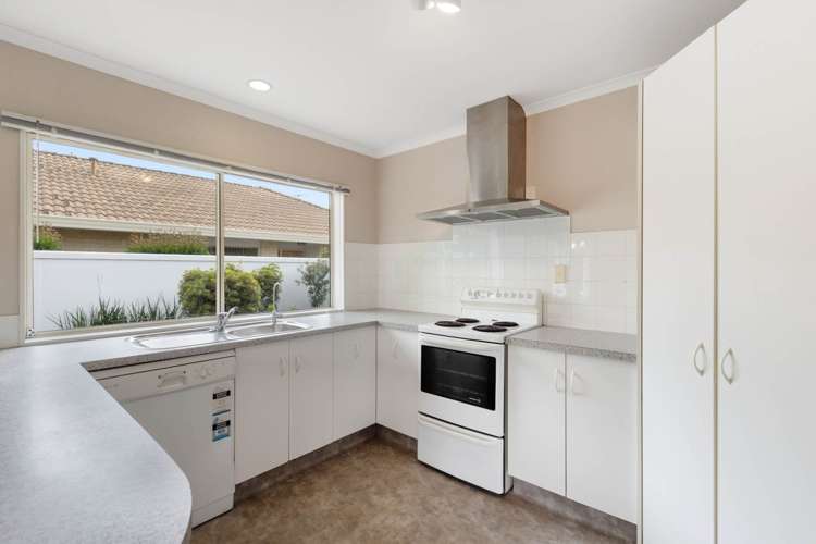 7 Verbena Glen Mount Maunganui_6