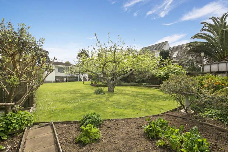 89 Campbell Road One Tree Hill_12