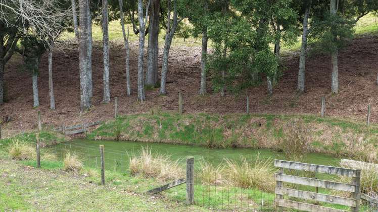 337 Old Coach Road Upper Moutere_25