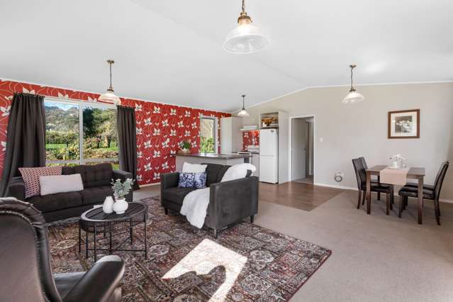 353 Wairakau Road Te Aroha_3