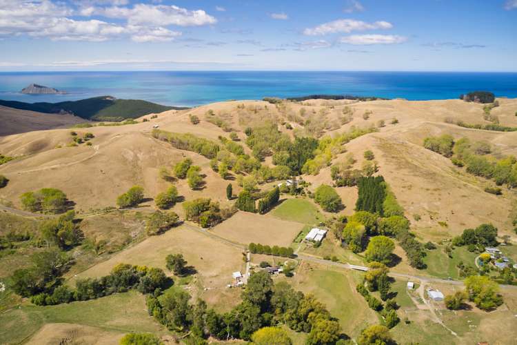 399 Te Apiti Road Waimarama_11
