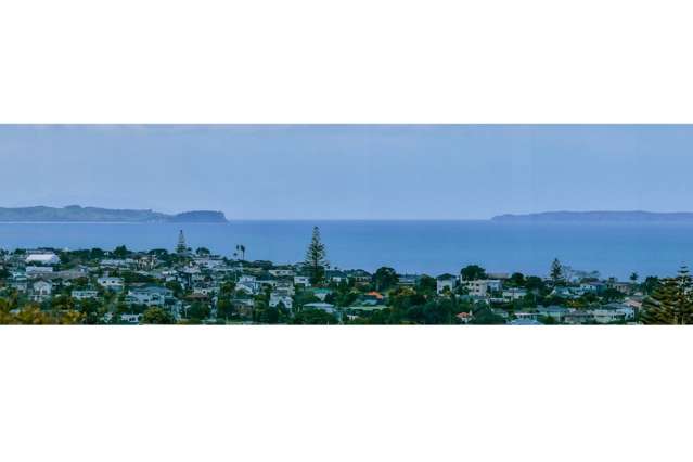 271 East Coast Road Mairangi Bay_2