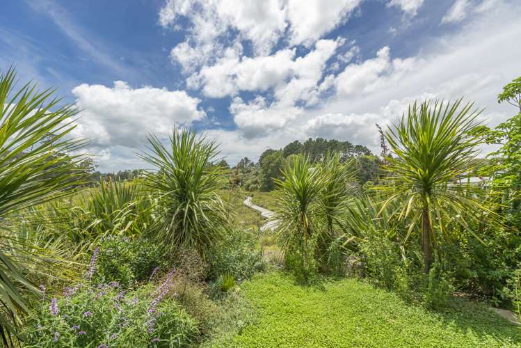 61b Holly Street Avondale_28