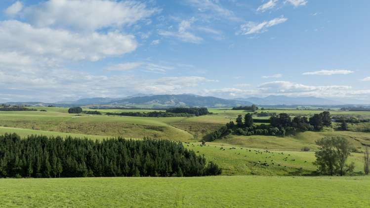 574 Spur Hut Road Temuka_10