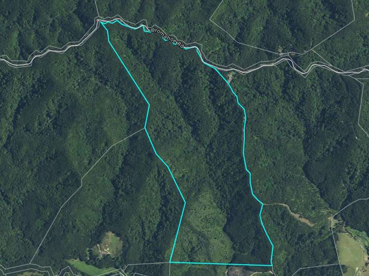 Oromahoe Road Opua_9