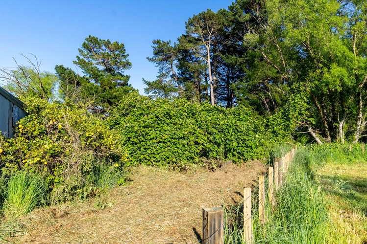 66c Thomas Road Carterton_15