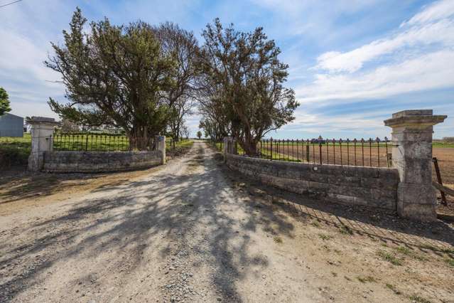 26 Springfield Road Totara_2