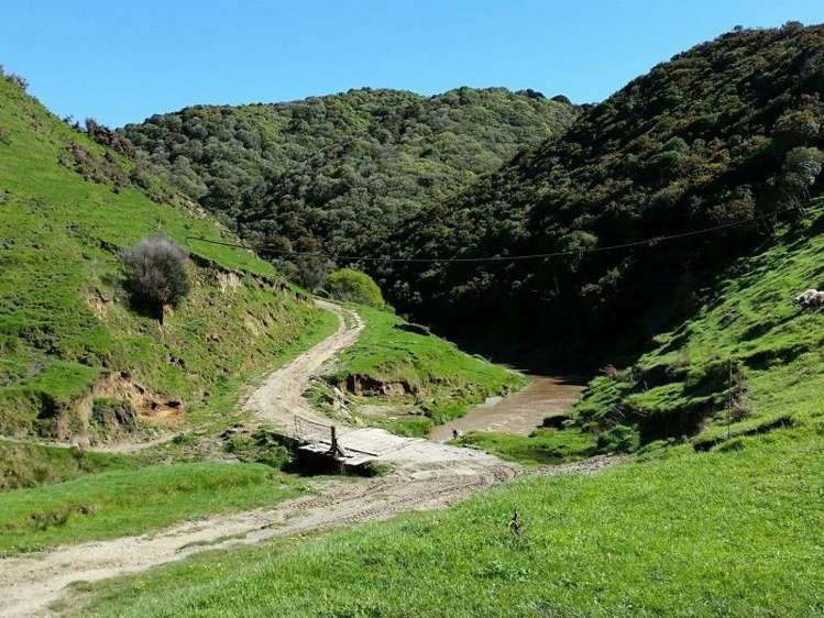 1584a Brunswick Road Kai Iwi_3