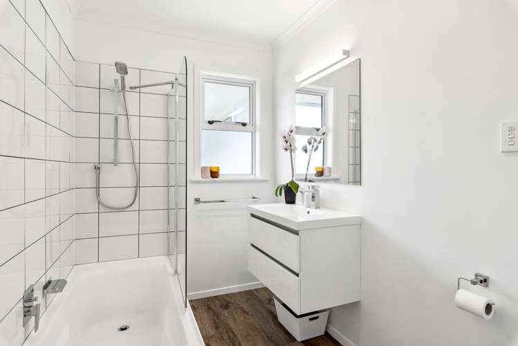 56 Salisbury Street Levin_15